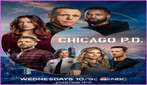 Chicago P.D. Cast Member Dies In Real Life: A Tribute To Their Legacy
