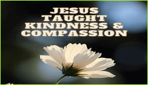 Kind Mita's Legacy: Remembering a Life of Compassion