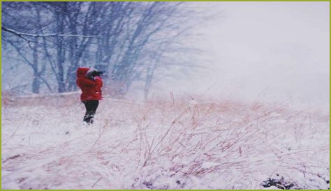 Mikayla Campinos: The Rising Star Of Social Media And Fashion