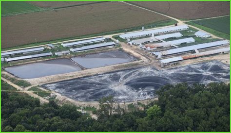 Smithfield's 'Deathstar' Hog Farm: Pollution Crisis Deepens